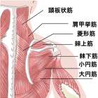 肩こり解消　ヘッドスパ